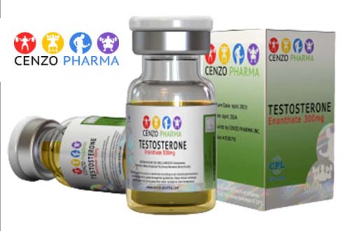 Buy Test E 300 Testosterone Enanthate